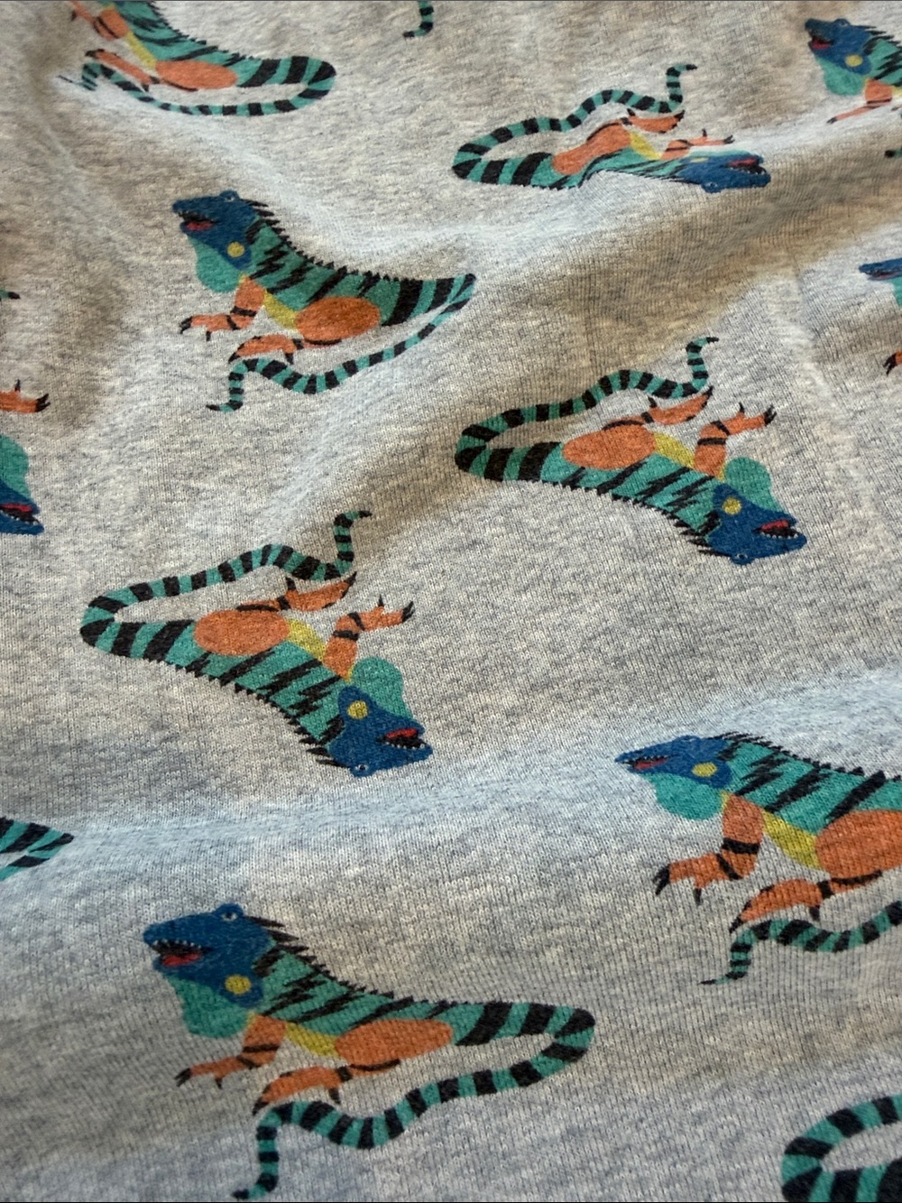 Hanna Andersson Gray Iguana Print Cotton Pajama Short Set
